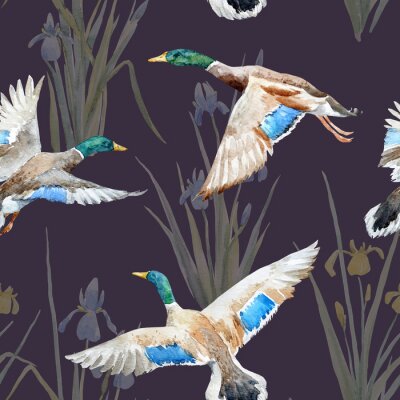 Papier peint à motif  Carré d'aquarelle avec des canards
