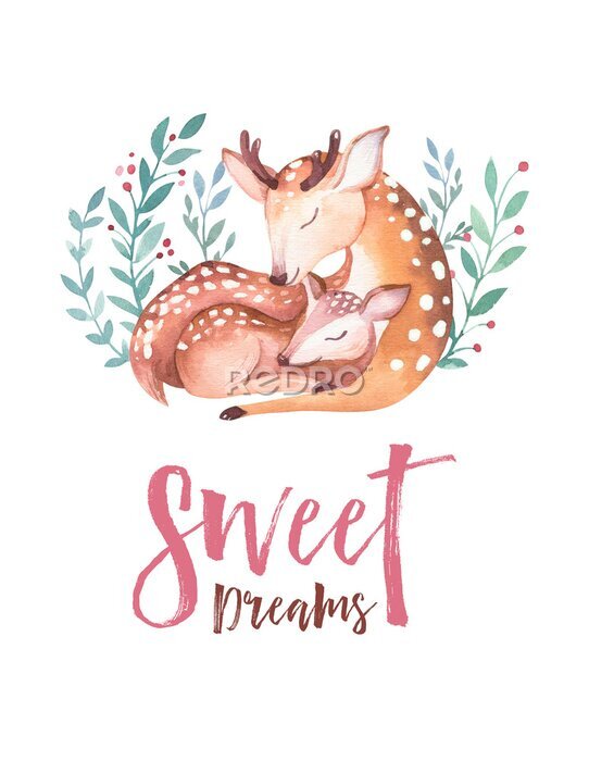 Papier peint à motif  Cerf aquarelle endormi