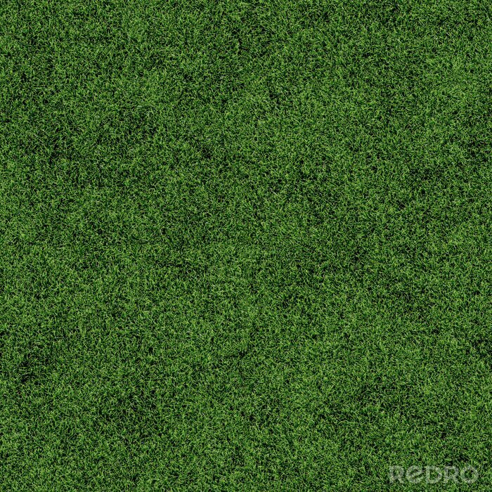 Papier peint à motif  Champ herbeux vert foncé