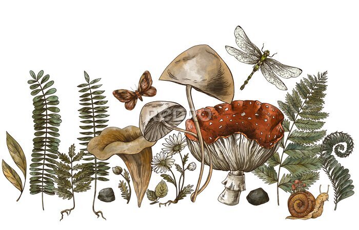 Papier peint à motif  Champignons forestiers