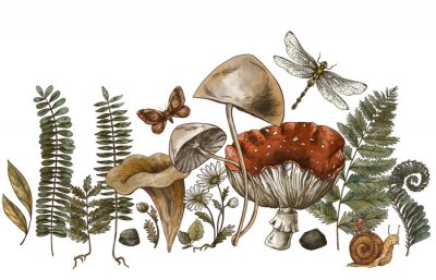 Sticker  Champignons forestiers