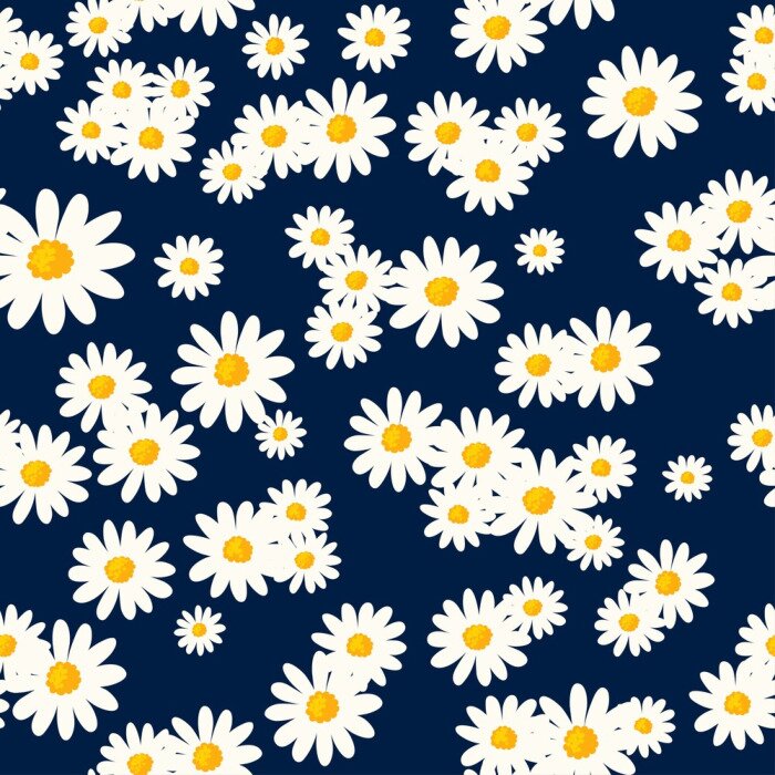 Papier peint à motif  Charmantes marguerites sur fond bleu marine