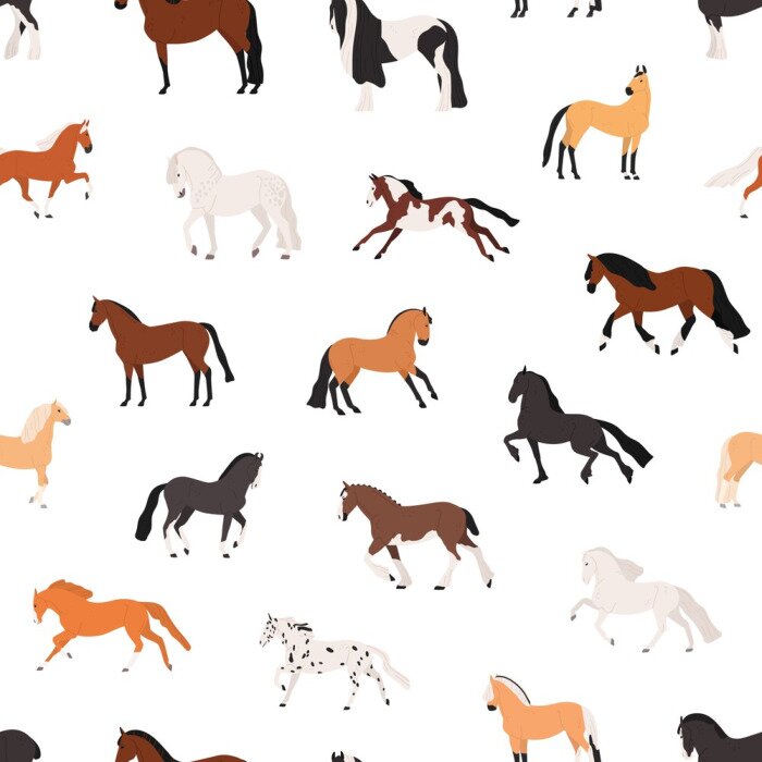 Papier peint à motif  Chevaux de différentes couleurs sur fond blanc