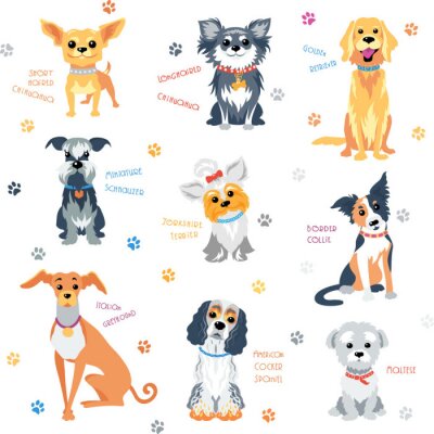 Papier peint à motif  Chiens de différentes races avec des inscriptions et des empreintes de pattes