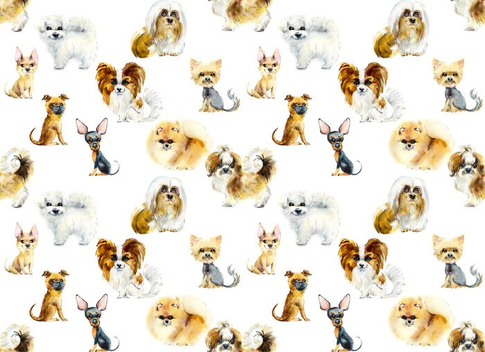 Papier peint à motif  Chiens de différentes races de petite taille