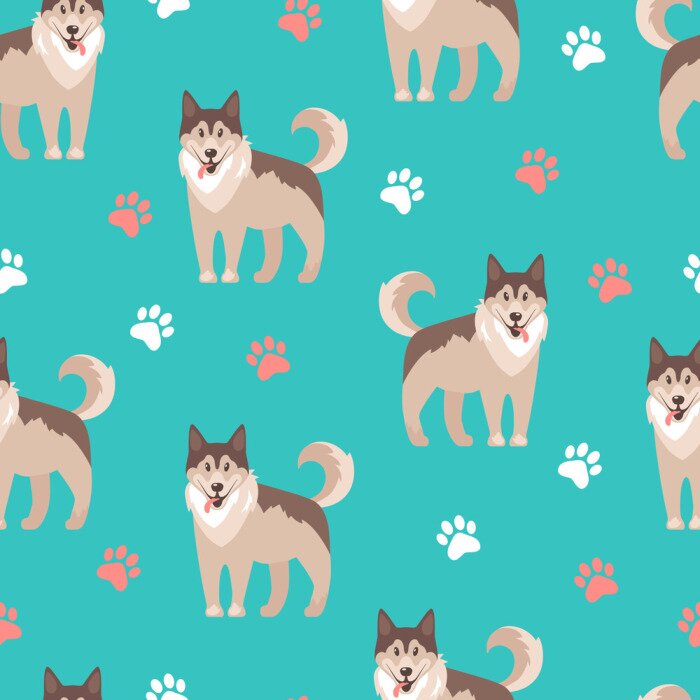 Papier peint à motif  Chiens huskys sur fond turquoise