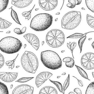 Papier peint à motif  Citrons et feuilles esquissés