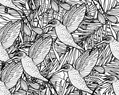 Papier peint à motif  Colibri Tropical