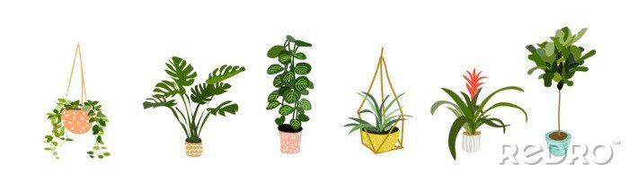 Papier peint à motif  collection de plantes en pot. plantes succulentes et plantes d'intérieur. art vectoriel dessiné à la main. Ensemble de dessin animé de vecteur de plantes d'intérieur de maison.