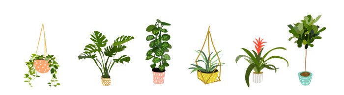 Papier peint à motif  collection de plantes en pot. plantes succulentes et plantes d'intérieur. art vectoriel dessiné à la main. Ensemble de dessin animé de vecteur de plantes d'intérieur de maison.
