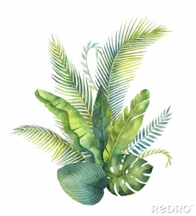 Papier peint à motif  Composition de bouquet de feuilles tropicales
