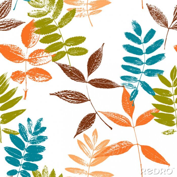 Papier peint à motif  Contours de feuilles colorés