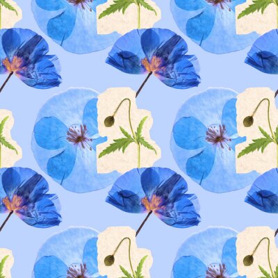 Papier peint à motif  Coquelicots bleus