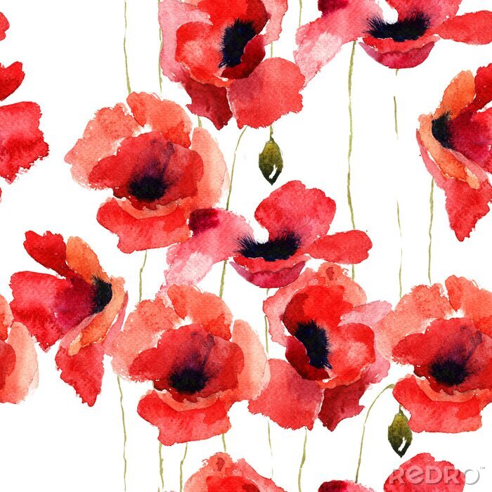 Papier peint à motif  Coquelicots délicats sur fond blanc