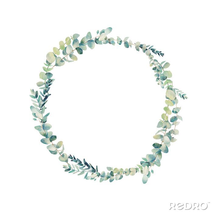 Papier peint à motif  Couronne d'eucalyptus Aquarelle. Cadre rond floral peint à la main isolé sur fond blanc.