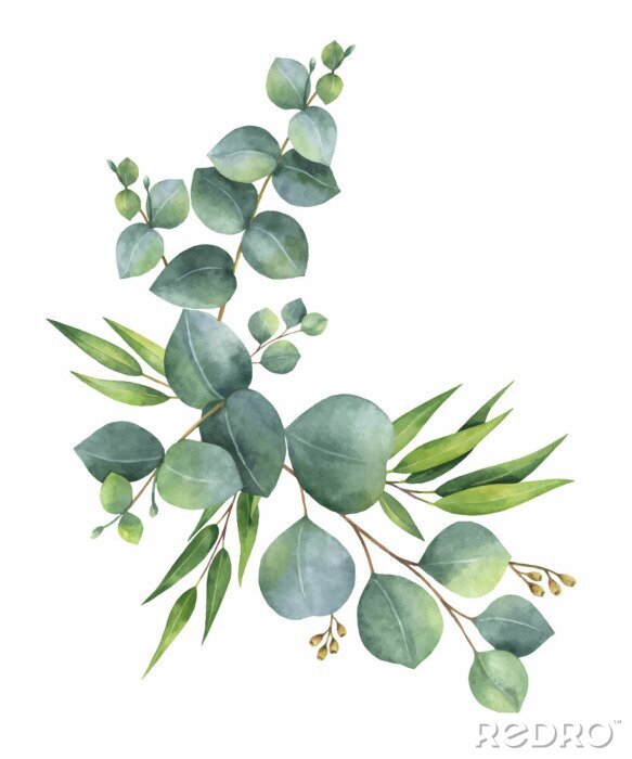 Papier peint à motif  Couronne de vecteur aquarelle avec des feuilles et des branches d'eucalyptus vert.