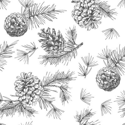 Papier peint à motif  Croquis d'encre botanique réaliste de branches de sapin avec pomme de pin sur fond blanc. Illustrations vectorielles