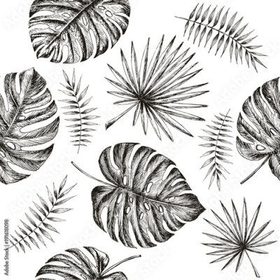 Papier peint à motif  Croquis de feuilles de monstera et de palmiers exotiques