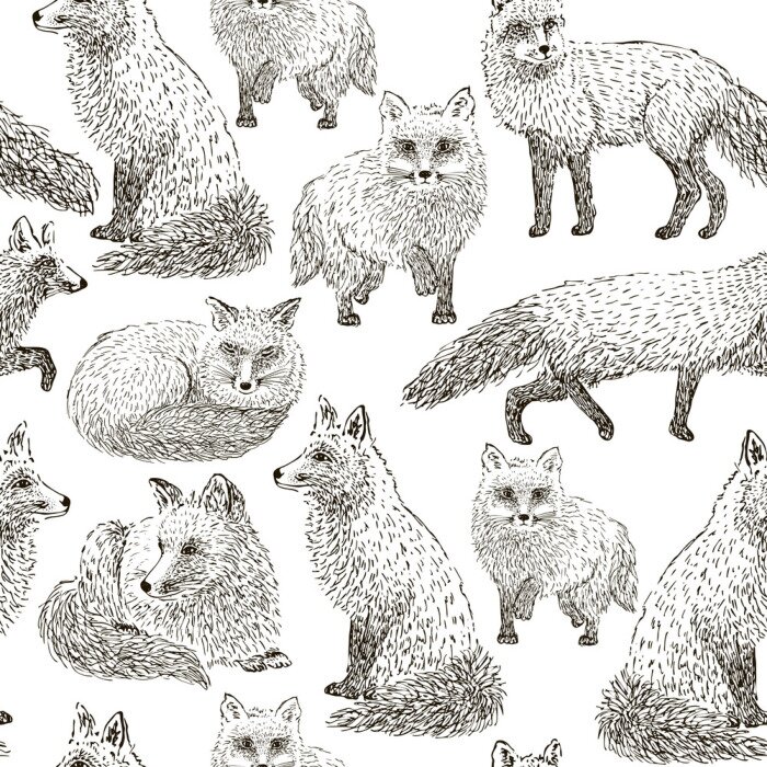 Papier peint à motif  Croquis de modèle sans couture Fox. Illustration vectorielle dessinés à la main.