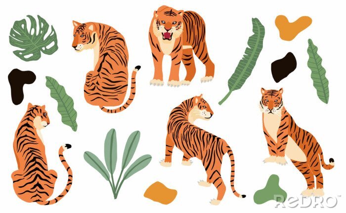 Papier peint à motif  Cute animal object collection with leopard,tiger. illustration for icon,logo,sticker,printable