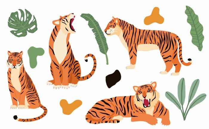 Papier peint à motif  Cute animal object collection with leopard,tiger. illustration for icon,logo,sticker,printable