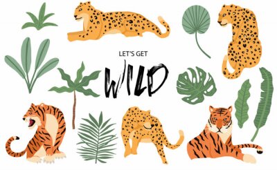 Cute animal object collection with leopard,tiger. illustration for icon,logo,sticker,printable.Include wording let's get wild