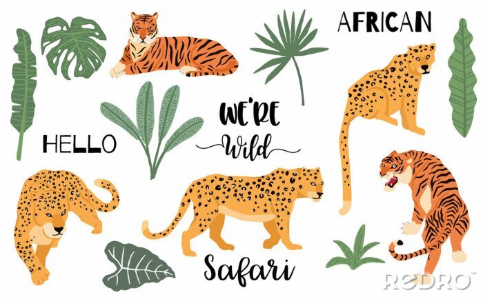 Papier peint à motif  Cute animal object collection with leopard,tiger. illustration for icon,logo,sticker,printable.Include wording we are wild