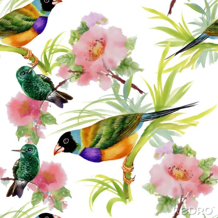 Papier peint à motif  De magnifiques oiseaux entre des fleurs