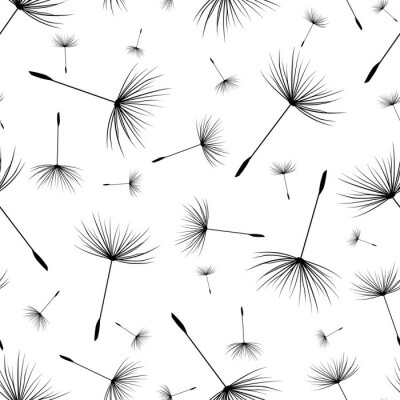 Papier peint à motif  Décoration moderne pissenlit noir et blanc