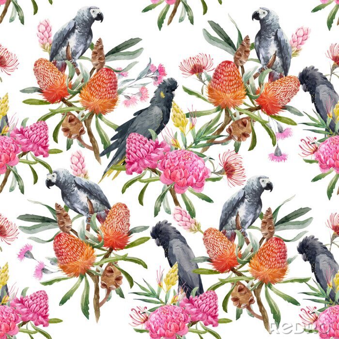 Papier peint à motif  Des oiseaux exotiques parmi des fleurs rouges