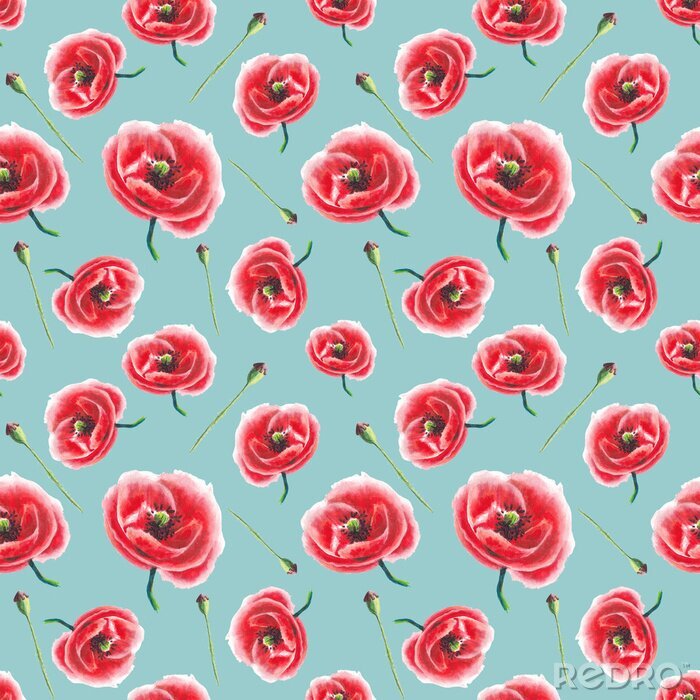 Papier peint à motif  Dessin avec des coquelicots sur fond bleu