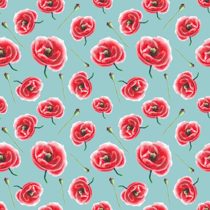 Papier peint à motif  Dessin avec des coquelicots sur fond bleu