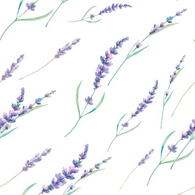Papier peint à motif  Dessin d'aquarelle de lavande sans couture. Main, dessiné, floral, répéter, texture Printemps papier peint avec des fleurs sur fond blanc