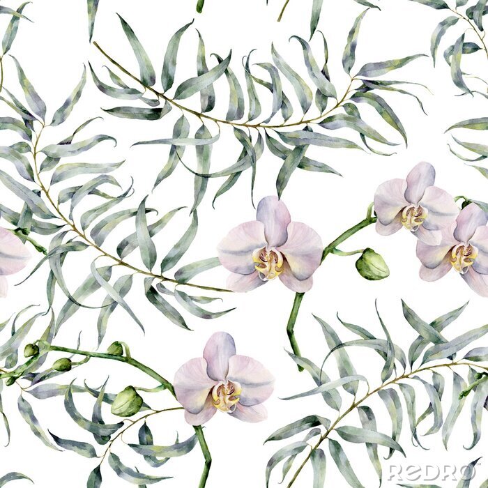 Papier peint à motif  Dessin d'aquarelle tropique avec des eucalyptus et des orchidées blanches. Main, peint, exotique, ornement, branches, feuilles, isolé, blanc, fond Impression naturelle pour le design, le tissu.
