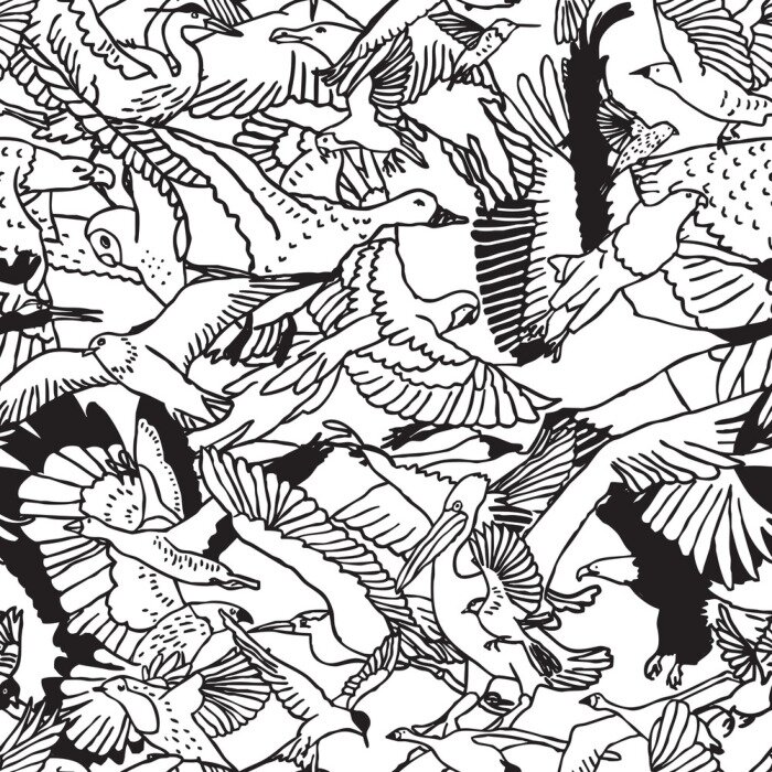 Papier peint à motif  Dessin noir et blanc avec des oiseaux