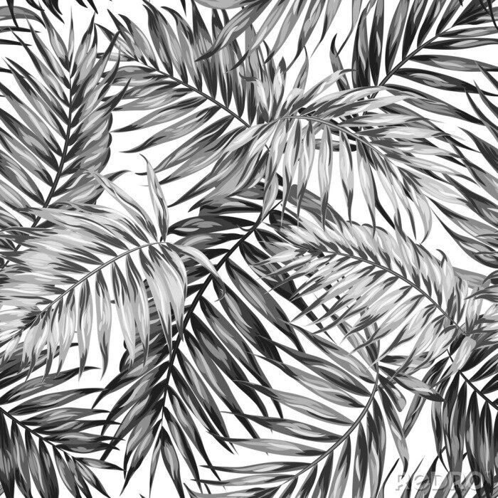Papier peint à motif  Dessin noir et blanc de feuilles de palmier