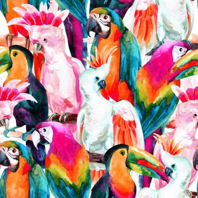 Papier peint à motif  Différents types de perroquets colorés
