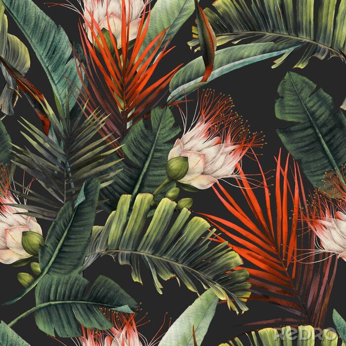 Papier peint à motif  Diverses feuilles tropicales
