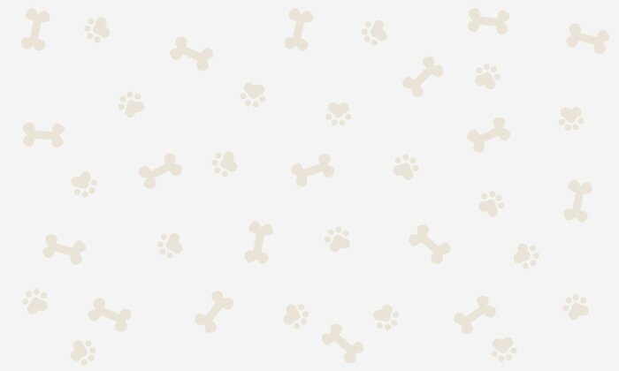 Papier peint à motif  Empreintes de pattes et os pour chiens