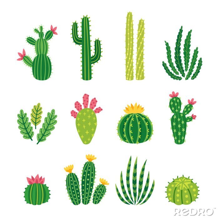 Papier peint à motif  Ensemble de vecteur de cactus lumineux, aloès et feuilles. Collection de plantes exotiques. Les éléments naturels décoratifs sont isolés sur blanc. Cactus avec des fleurs.