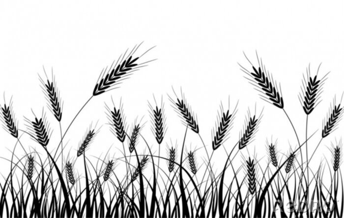 Papier peint à motif  Épis de céréales noirs parmi les hautes herbes