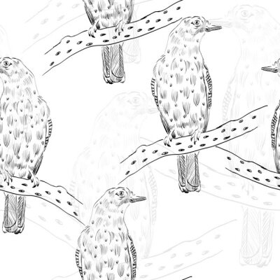Papier peint à motif  Esquisses d'oiseaux en noir et blanc