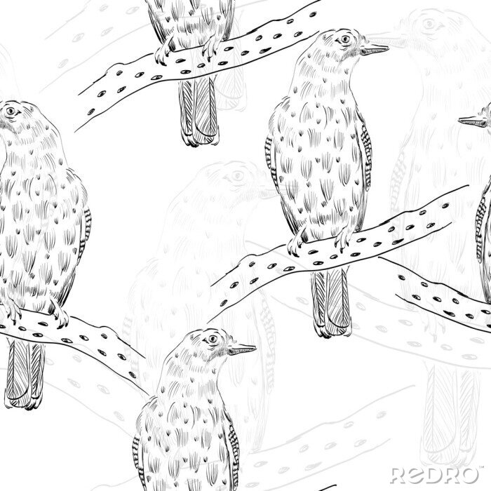 Papier peint à motif  Esquisses d'oiseaux en noir et blanc