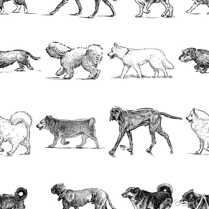 Papier peint à motif  Esquisses de chiens de différentes races