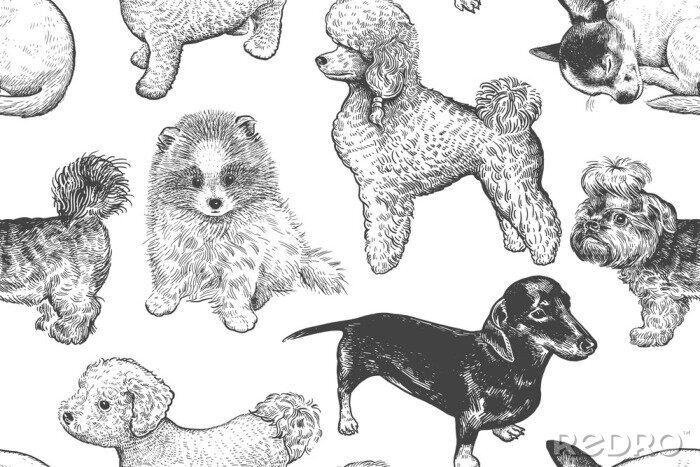 Papier peint à motif  Esquisses de chiens en monochrome