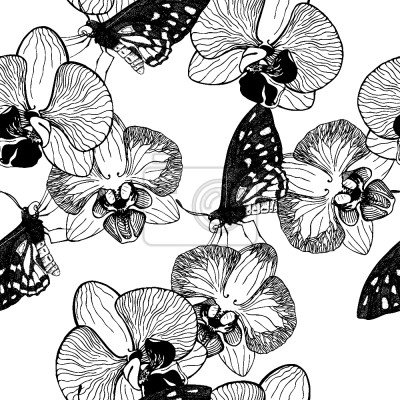 Papier peint à motif  Et Papillon Orchidée