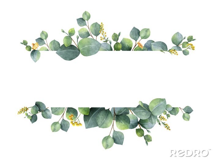 Papier peint à motif  Eucalyptus comme cadre