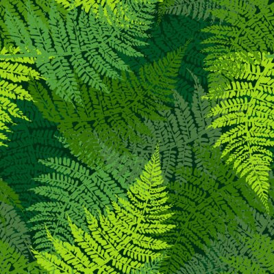 Papier peint à motif  Fern, seamless, modèle
