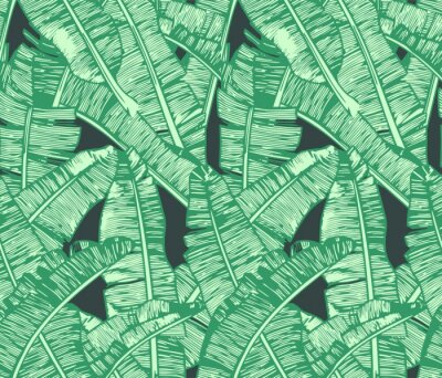 Papier peint à motif  Feuille de banane