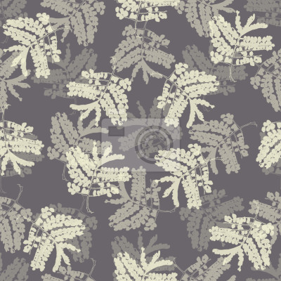 Papier peint à motif  Feuilles d'acacia